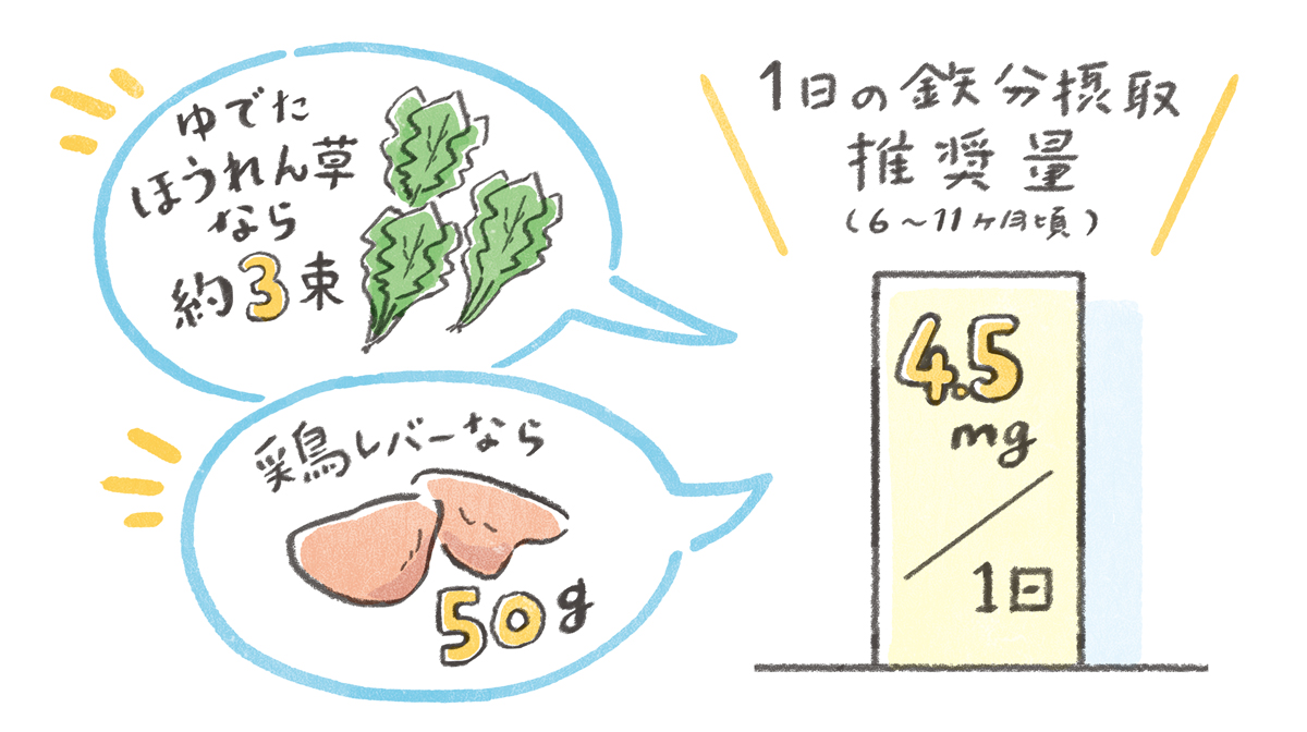 1日の鉄分摂取推奨量